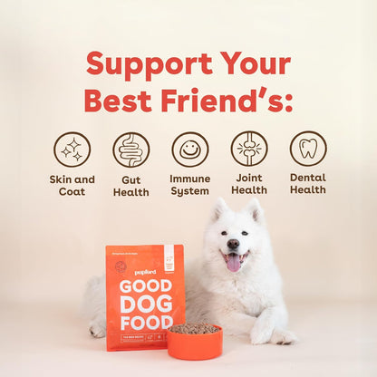 Pupford Good Dog Food, Freeze-Dried Raw, High-Protein, Superfood Ingredients, Vet-Approved, No Fillers or Artificial Additives (Beef Recipe, 16 oz)