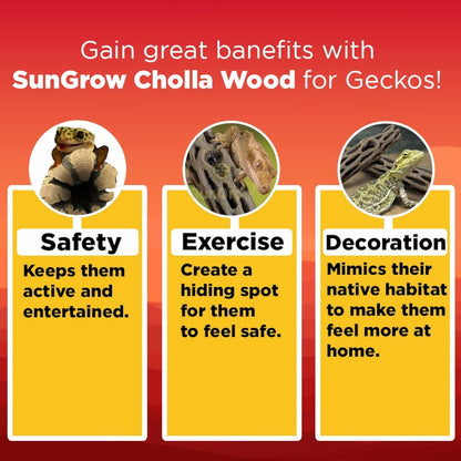 SunGrow Leopard Gecko Cholla Wood, 5 Inches Long, Create Basking Spot, Artistic Home-Decor, Lizards and Bearded Dragons, 6-Pack