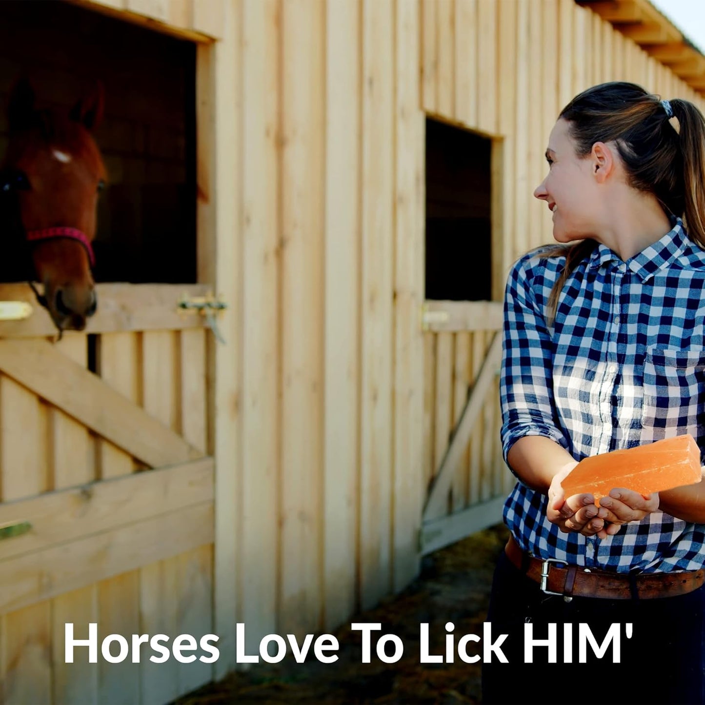 Himalayan Nature Horse Licking Salt, Animal Licking Mineral Salt Brick - 5 Lbs