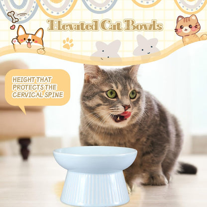 Layhit 2 Pack Raised Slow Feeder Cat Bowls Ceramic Elevated Cat Food Bowls Anti Vomiting Slow Feeder for Dog and Kitten for Dry and Wet Food(Blue, Pink)