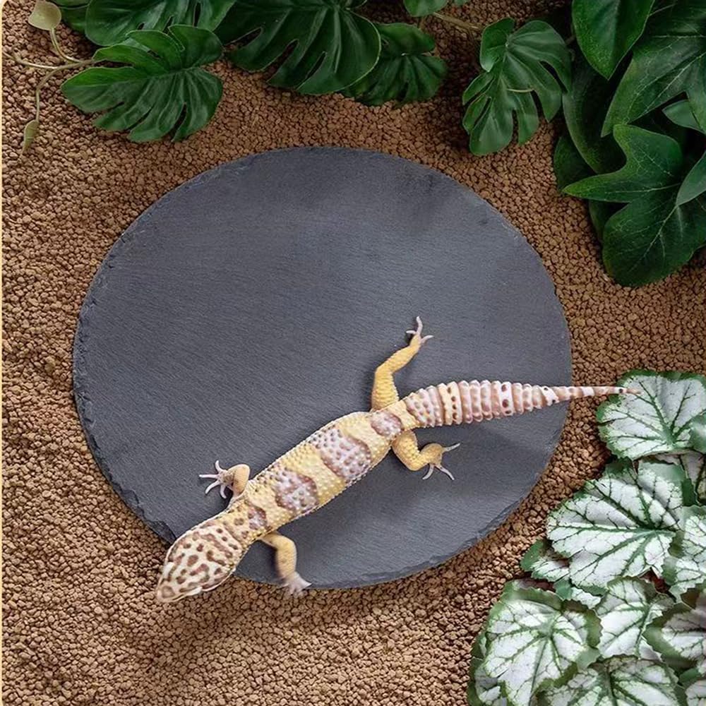 Reptile Basking Platform Rock Tortoise Habitat Slate Rock for Reptiles Food Dish Landscape Habitat Decor Accessories for Crested Gecko Lizard Bearded Dragon Turtle