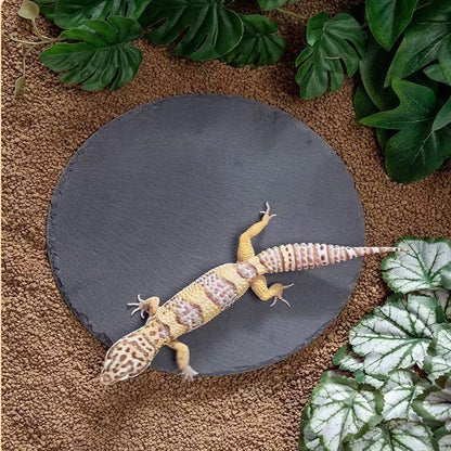 Reptile Basking Platform Rock Tortoise Habitat Slate Rock for Reptiles Food Dish Landscape Habitat Decor Accessories for Crested Gecko Lizard Bearded Dragon Turtle