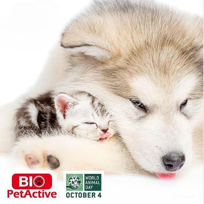 Bio Pet Active Kitten Milk Replacer - Easy-to-Digest Milk Powder with Vitamins, Minerals and Taurine for Kittens and Mothers, 7.05 oz