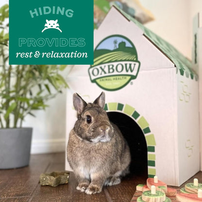 Oxbow Timothy Hay Tunnel, Guinea Pig Hideout, Rabbit & Bunny Tunnel, Edible & Hand-Woven Guinea Pig House, No Wires or String, Small Pet Accessories, for Rabbits, Chinchillas & Rats