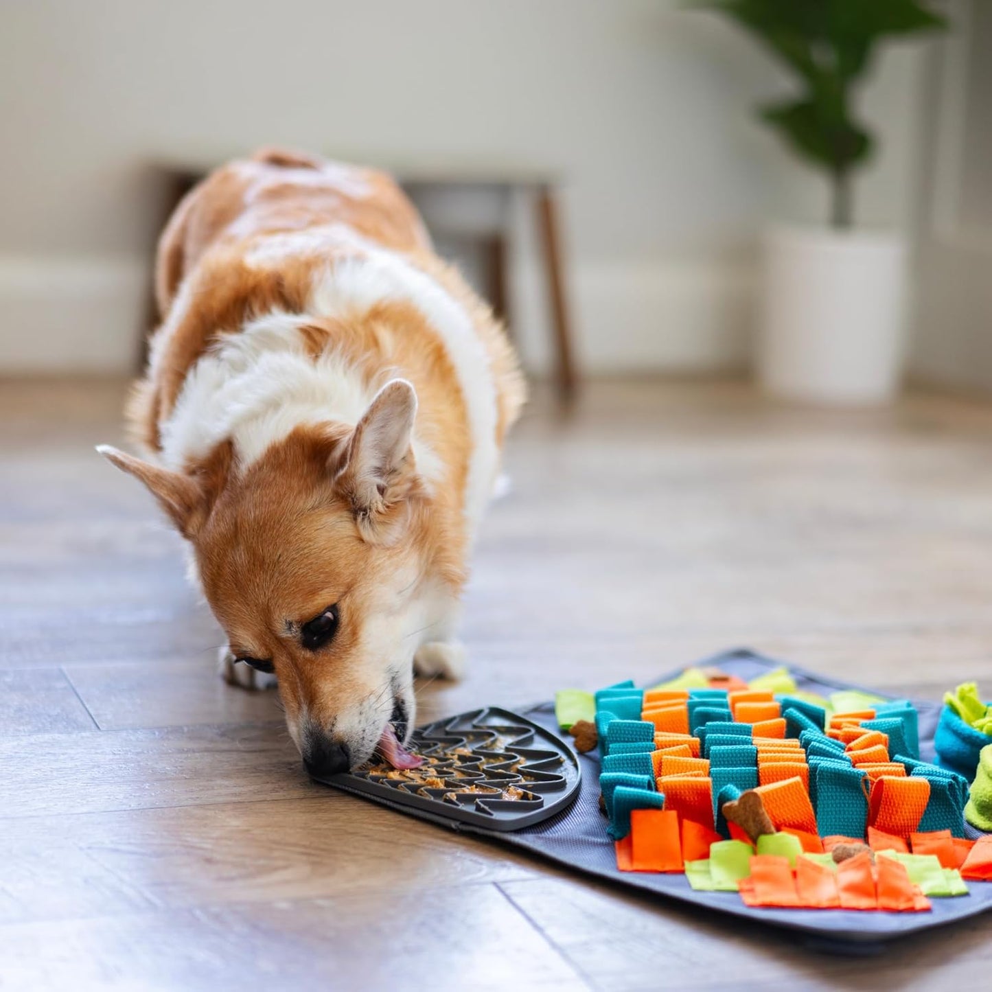 Messy Mutts Square 16" x 16" Forage and Lick Mat with Non-Slip Suction Cups | Stimulating Sniffing Interactive Puzzle for Dogs | Silicone Triangle Licking