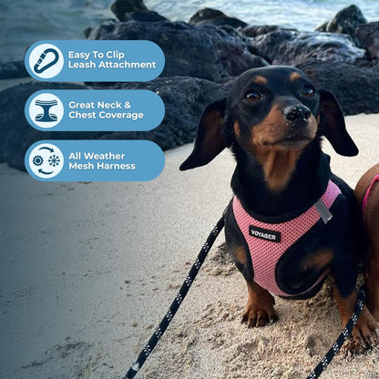 Best Pet Supplies Voyager Step-in Air All Weather Mesh Harness and Reflective Dog 5 ft Leash Combo with Neoprene Handle, for Small, Medium and Large Breed Puppies - Pink Base, XXS