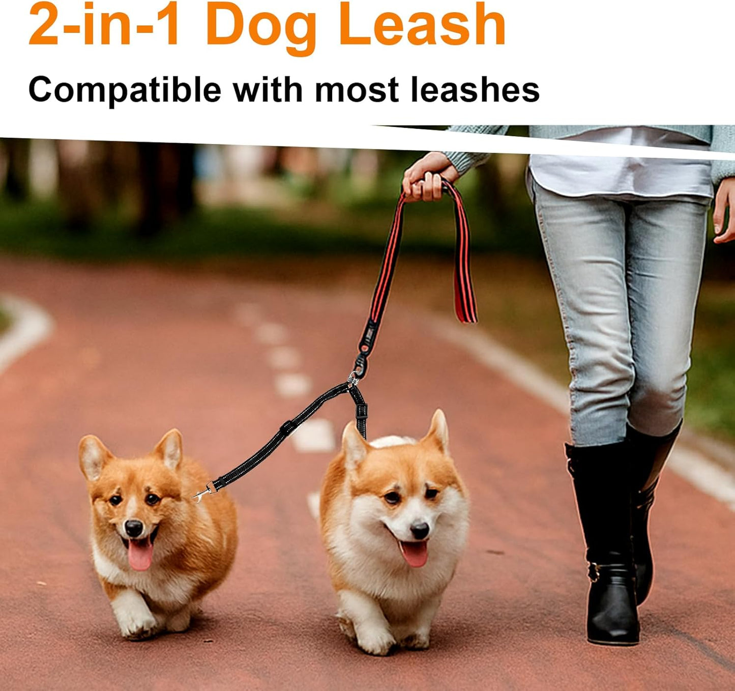 MingXpet Double Dog Leash for Two Dogs, No Pull Dog Leash, 360° Swivel No Tangle for Small Dogs Walking & Training, Shock Absorbing Reflective Bungee, Black