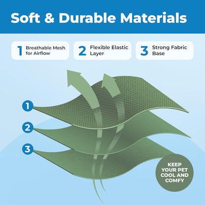 Voyager Escape-Proof Step-in Lock Cat Harness & 5ft Neoprene-Handle Leash Set All-Weather Mesh with Reflective Stitching for Small to Large Cats by Best Pet Supplies, Moss Green (327), XS