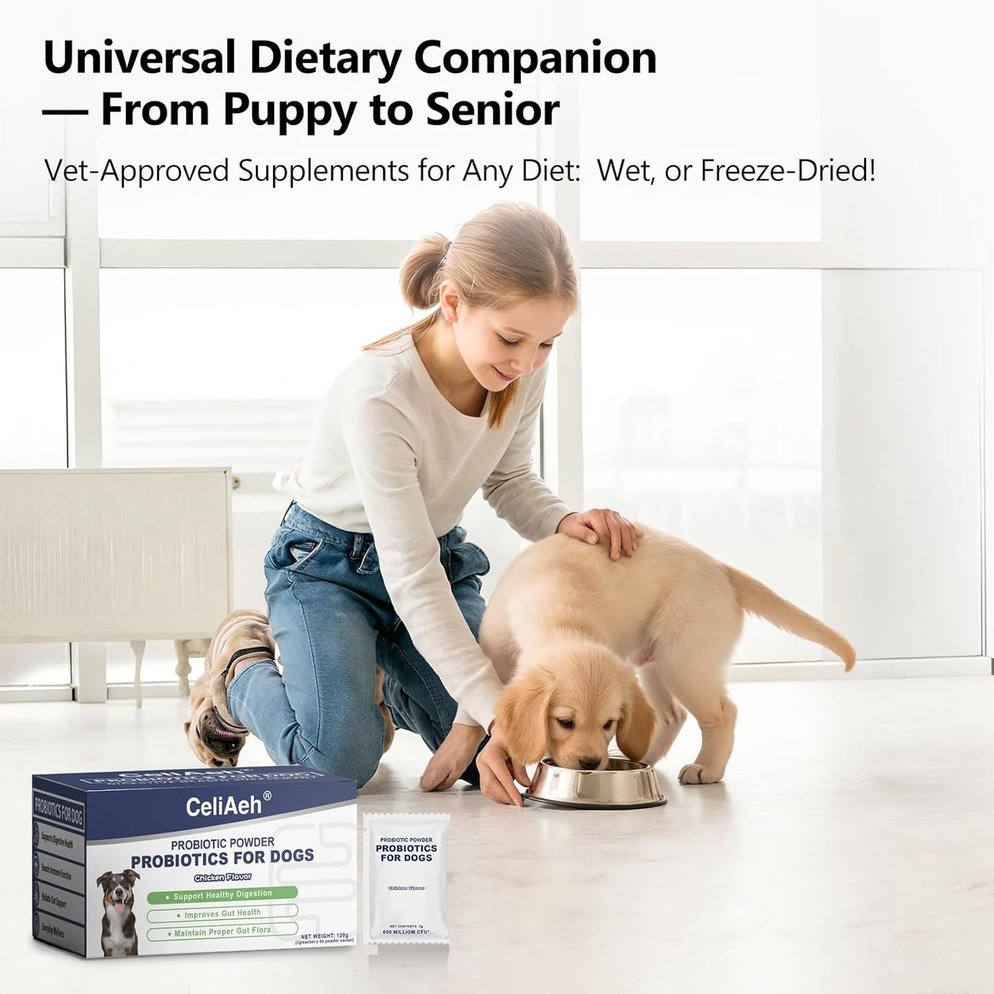 Probiotics for Dogs Dog Digestion Gut Probiotic Powder Cat Dog Probiotic Supplement Skin Coat Supplement for Dogs Digestive and Immune Support Digestive Enzymes with Chicken Flavor