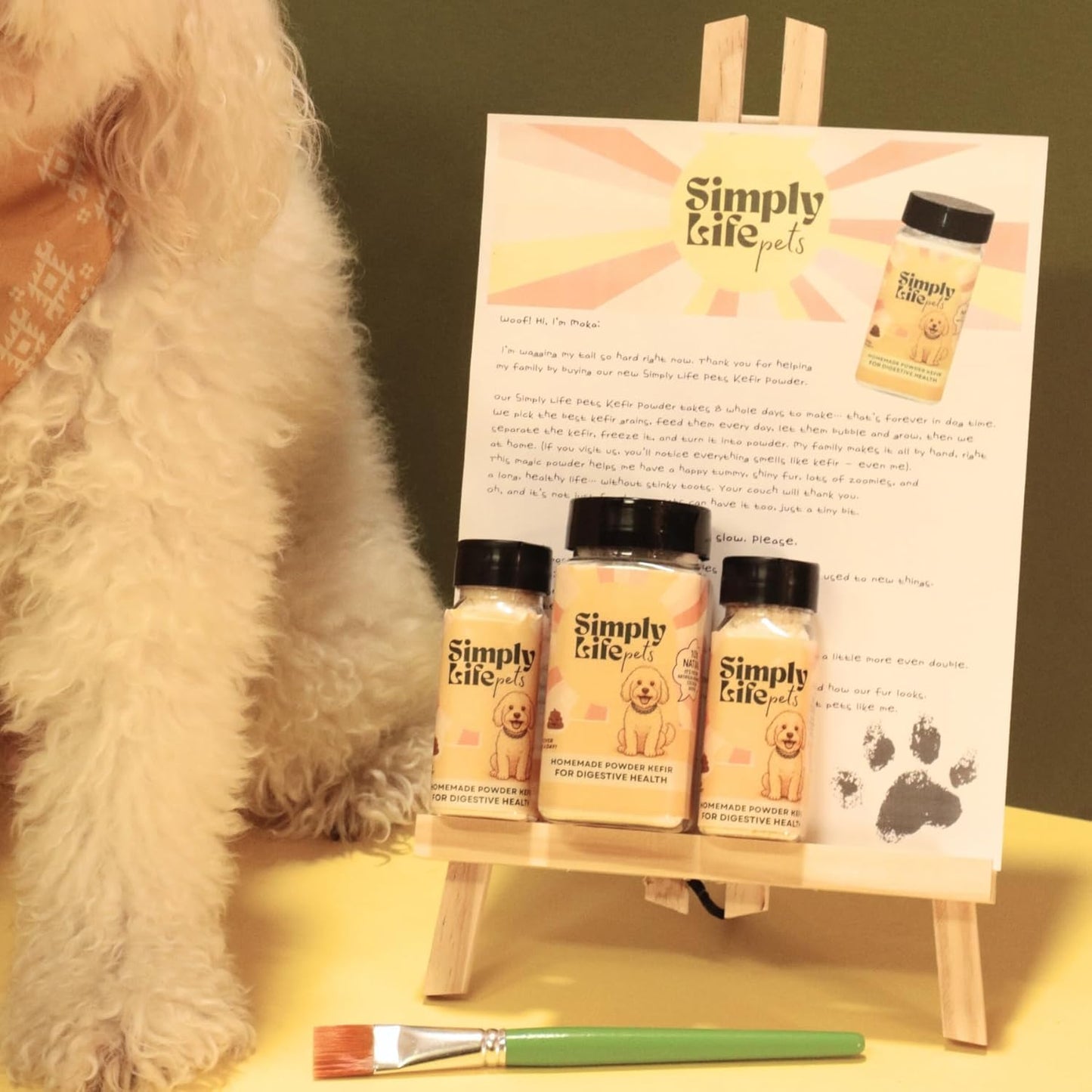 Simply Life Pets Kefir Powder Probiotic for Dogs & Cats, Freeze-Dried – Natural Digestive & Immune Support (1oz)