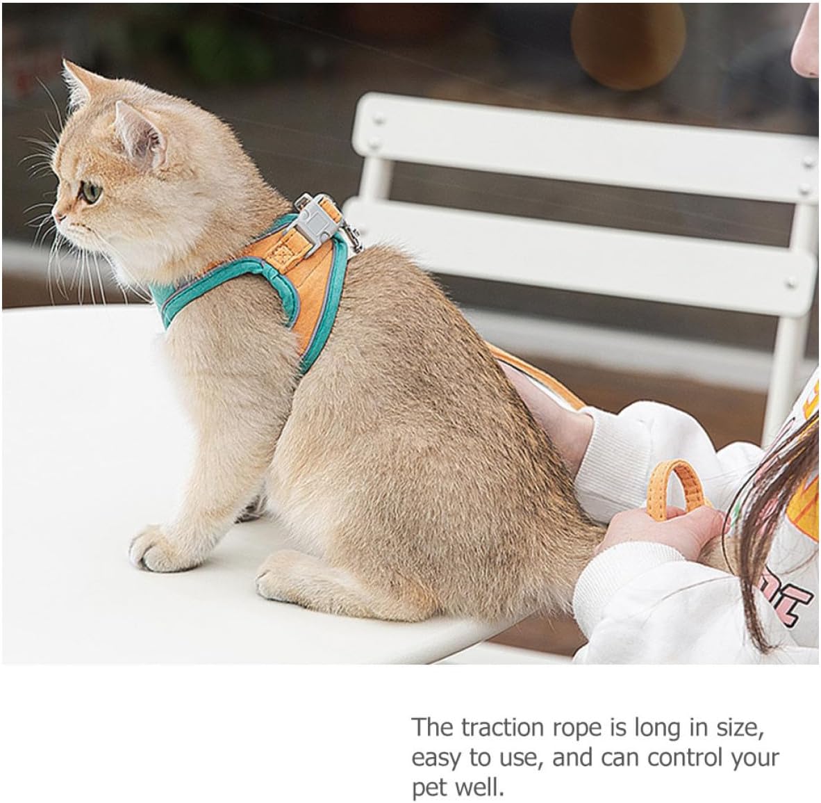 Kitten Harness Leash Set Adjustable Reflective Chest Strap Vest Outdoor Walking Cat Control Rope Small Size for Cats and Kittens