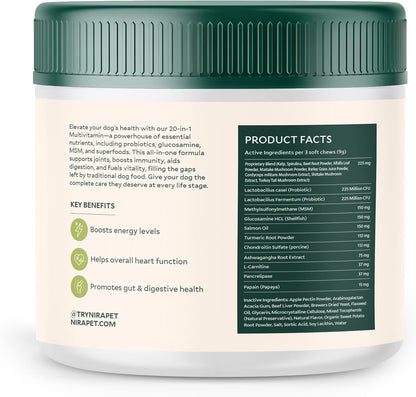 20-in-1 Multivitamin for Dogs – Beef Flavor – 60 Soft Chews with Glucosamine, Probiotics, MSM, Turmeric & Salmon Oil – Joint, Skin, Coat & Digestive Support