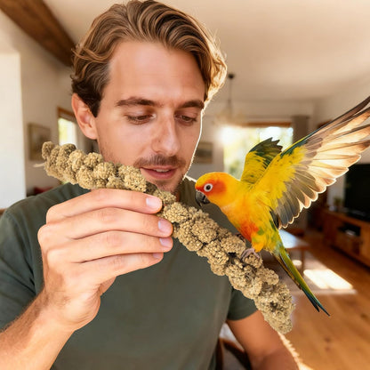 ERKOON 5LB Spray Millet Treat, All Natural Sun-Dried Healthy Treat Parrot Food Bird Snack for Parakeets, Lovebirds, Cockatiels, Finches, Budgies, Canaries Hamster, Bird Food Bulk