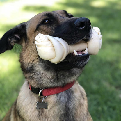 Pet Factory American Beefhide 12" Knotted Bone Dog Chew Treat - Natural Flavor, 1 Count/1 Pack