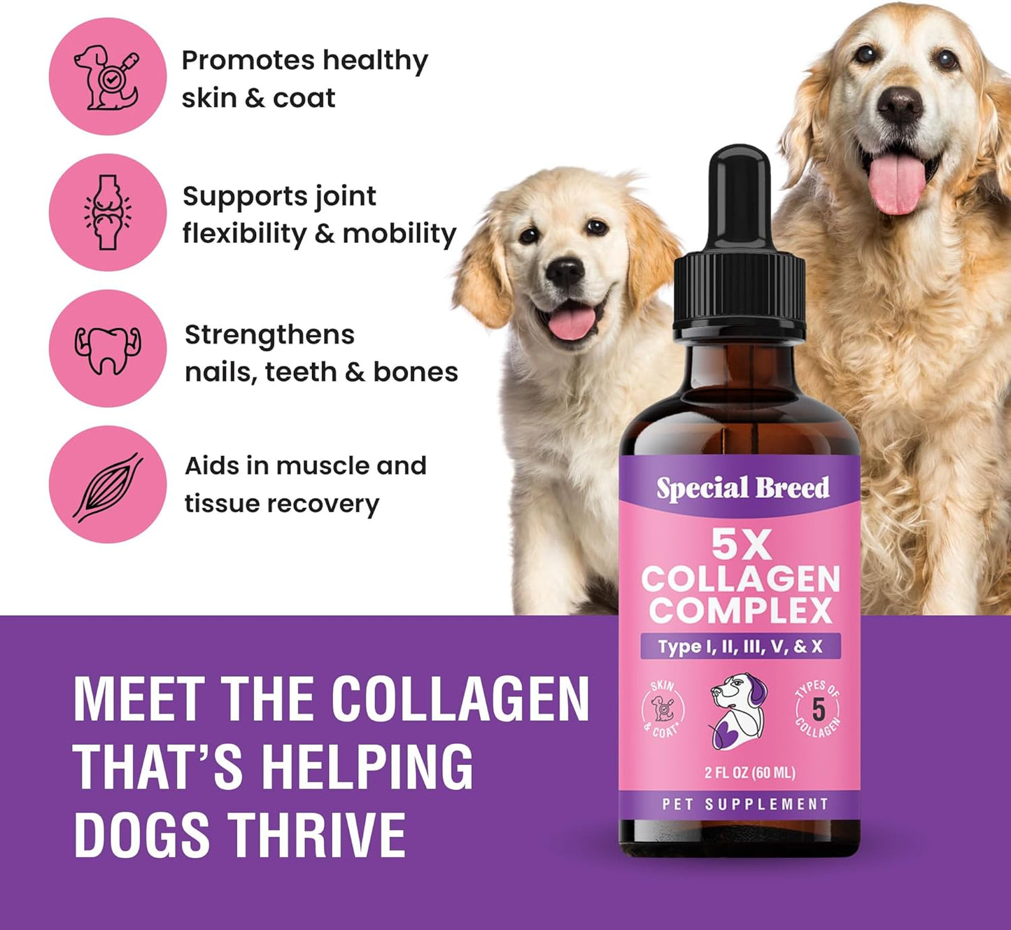 Premium Collagen for Dogs - Liquid Support for Joints, Skin, Coat, Bone, Immune System & HIPS - Collagen Supplement - Made in USA - 2oz