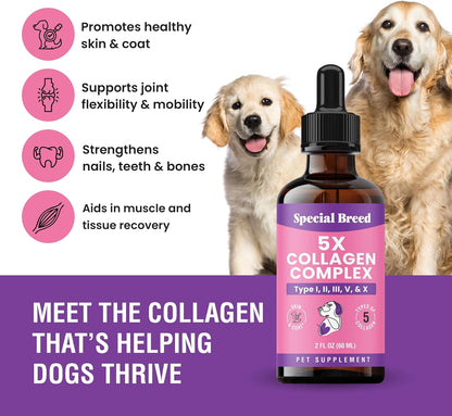 Premium Collagen for Dogs - Liquid Support for Joints, Skin, Coat, Bone, Immune System & HIPS - Collagen Supplement - Made in USA - 2oz
