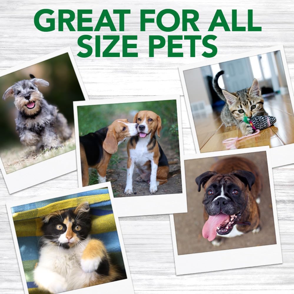 Vet's Best Dog Toothbrush - Easy Teeth Cleaning for Dog Dental Care, Perfect for Dogs and Cats - Comes With 10 Soft Finger Brushes Per Pack