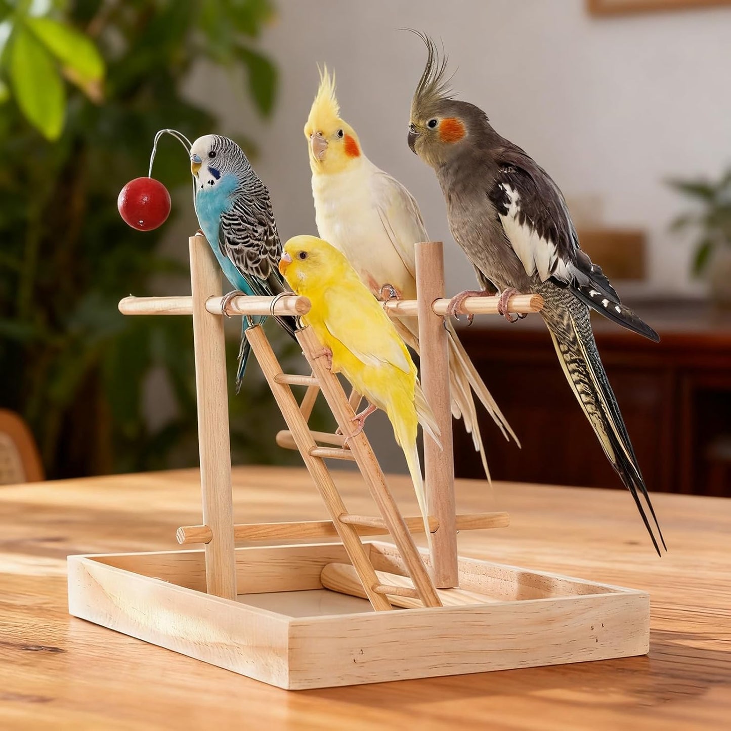 3 Pack Wooden Bird Ladder, Bird Cage Ladder Climbing Toys for Parakeets, Parrots, Cockatoo & Lovebirds