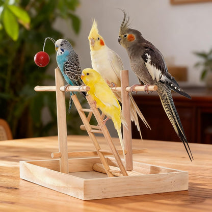 3 Pack Wooden Bird Ladder, Bird Cage Ladder Climbing Toys for Parakeets, Parrots, Cockatoo & Lovebirds