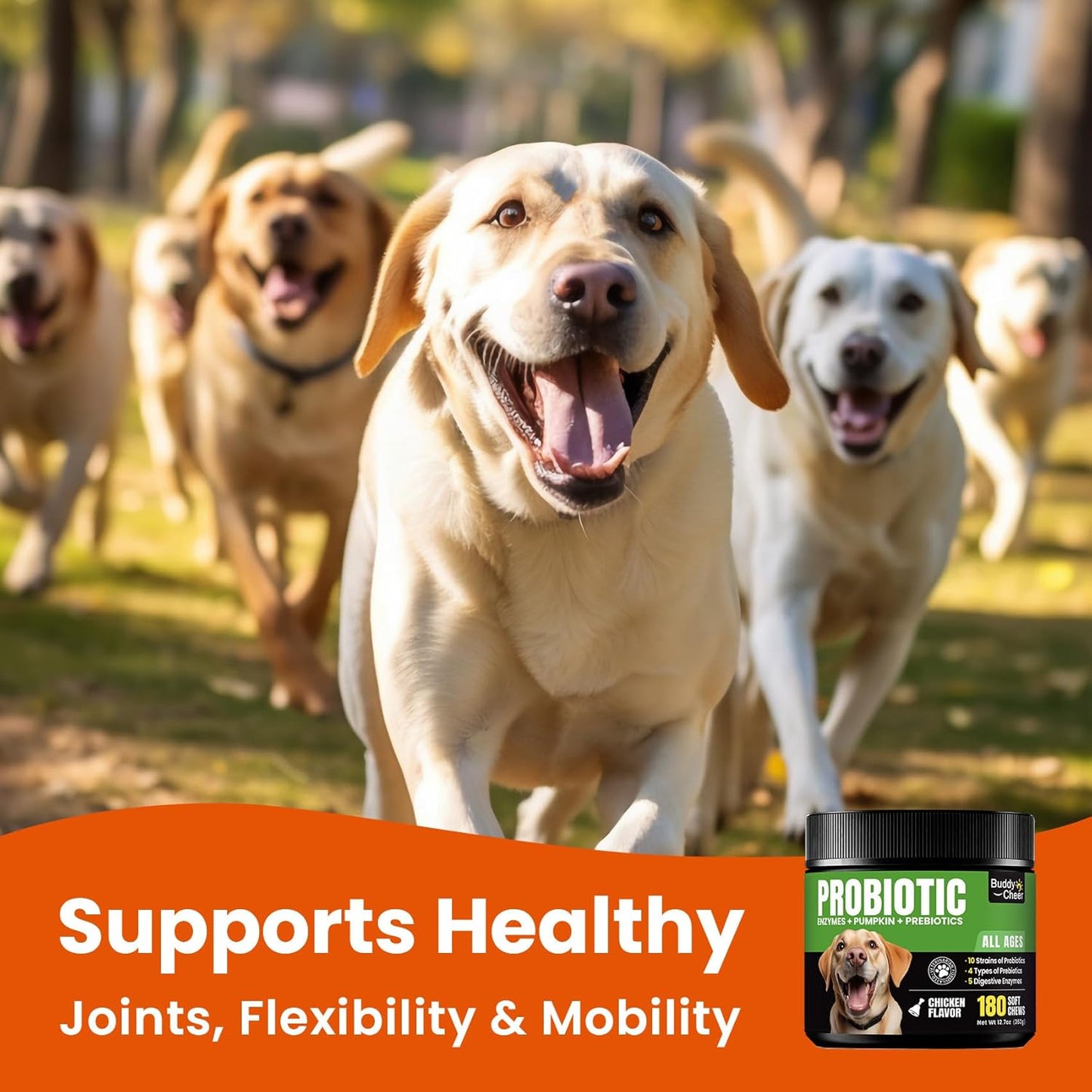 Dog Probiotics and Enzymes – Digestive & Immune Support Chews with Prebiotics for Dogs with Diarrhea or Itchy Skin