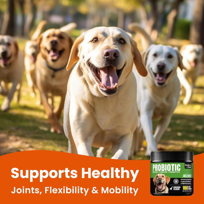 Dog Probiotics and Enzymes – Digestive & Immune Support Chews with Prebiotics for Dogs with Diarrhea or Itchy Skin
