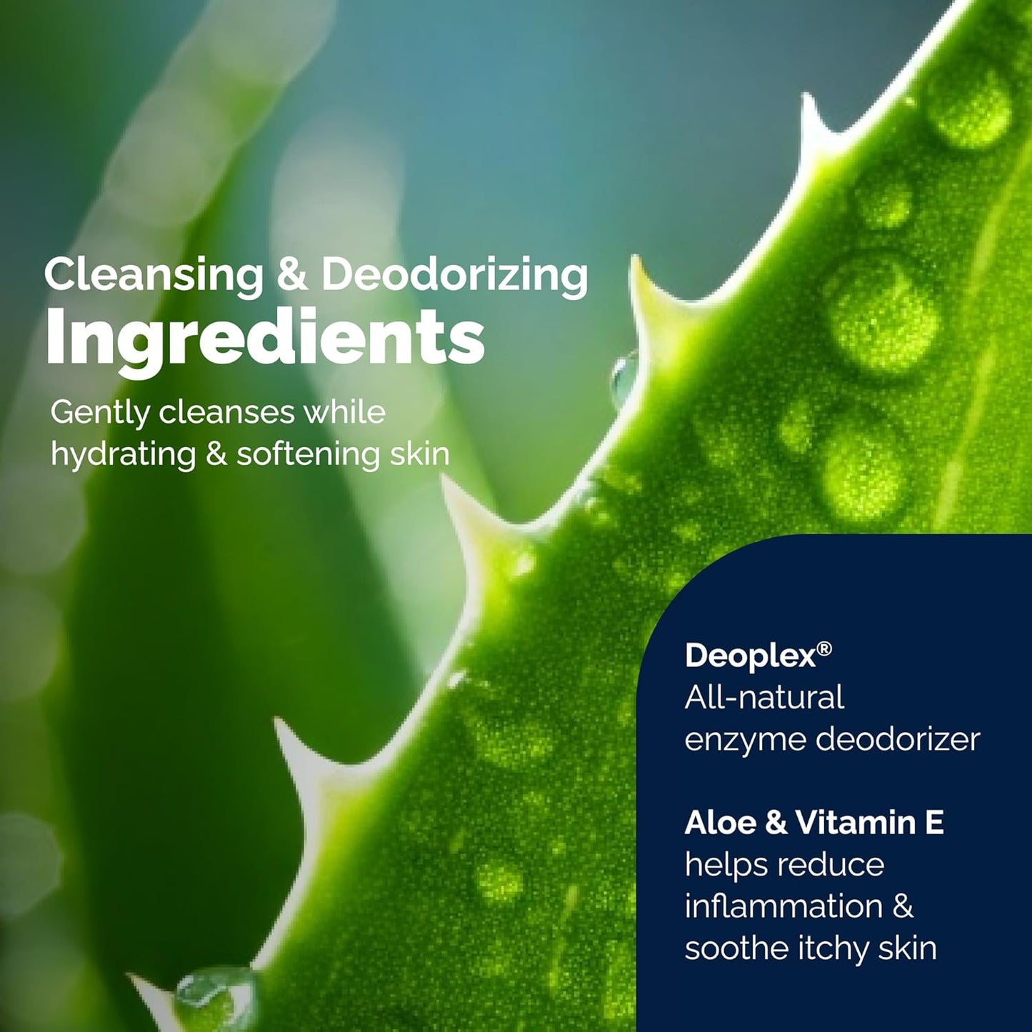 Vetnique DermaBliss Pet Wipes for Dogs & Cats for Grooming, Cleansing & Deodorizing, Thick Dog Wipes for Convenient Dog Cleaning and Natural Pet Odor Eliminator, 100ct Refreshing Scent