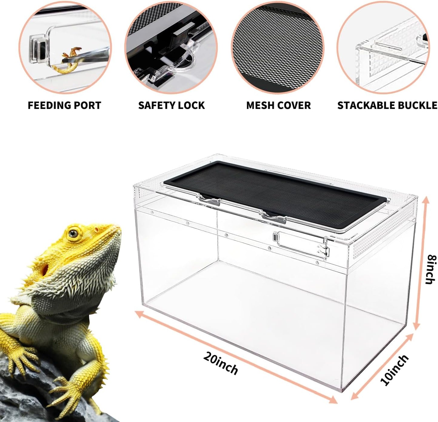 Reptile PC Terrarium Set, Reptile Tank 20" x 10"x 8",for Insect，Fish，Tarantula，Hermit Crab，Jumping Spider，Iguana，Tortoise，Leopard Gecko，Bearded Dragon