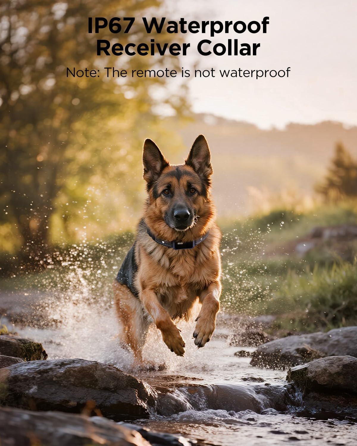 BLACKDOG Military Dog Shock Collar 2 Dogs (5-150lbs) - 4200ft Dog Training Collar with Remote, 4 Training Modes, Flashlight&Strobe, 90-Day Battery, IP67 Waterproof Dog E Collar for All Breeds (Blue)