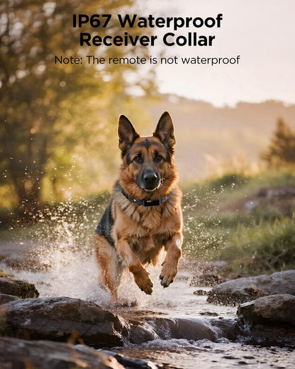 BLACKDOG Military Dog Shock Collar 2 Dogs (5-150lbs) - 4200ft Dog Training Collar with Remote, 4 Training Modes, Flashlight&Strobe, 90-Day Battery, IP67 Waterproof Dog E Collar for All Breeds (Blue)