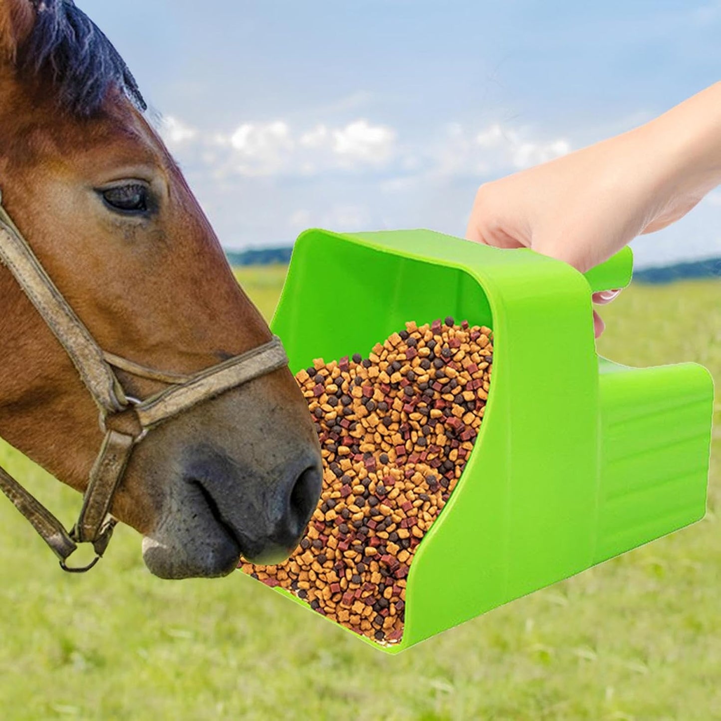 Feed Scoop - Pet Feeding Server, Ergonomic Non Slip Scoop, Sheep Cattle Horse Livestock Feeder, Poultry Backyard Gardening Farming, Yard Camping Feeding Tool, Farm Animal Food Accessory