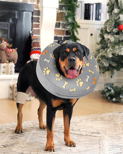 Inflatable Dog Pillow Cone Collar After Surgery, Donut Soft Neck Cone for Pug Dachshund Medium Dogs, etc, Recovery E Collar to Stop Licking Paw