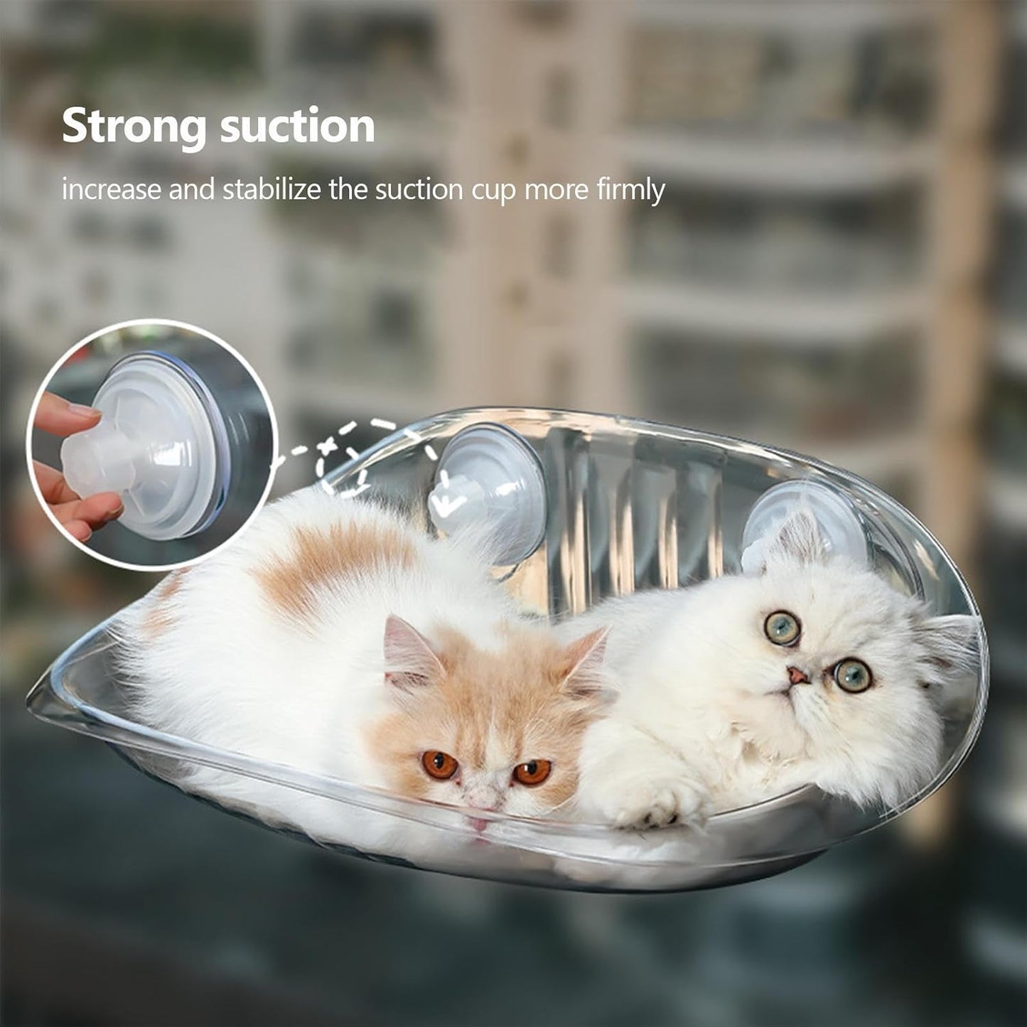 Cat Wall Shelf Furniture for Sleeping - Transparent Hammock Bed with Suction Cups, Spatial Rescue of Pet Lounger | Raised Cat Rest for Climbing and Playing | Floating Furniture