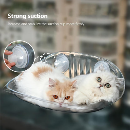 Cat Wall Shelf Furniture for Sleeping - Transparent Hammock Bed with Suction Cups, Spatial Rescue of Pet Lounger | Raised Cat Rest for Climbing and Playing | Floating Furniture
