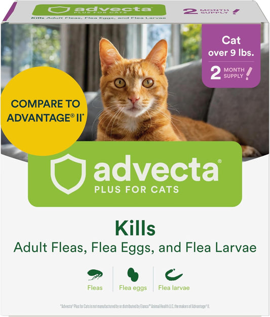 Advecta Plus Topical Large Cat Flea Treatment for Cats and Kittens, Flea Prevention and Control, Fast-Acting Waterproof Drops, 2-Month Supply