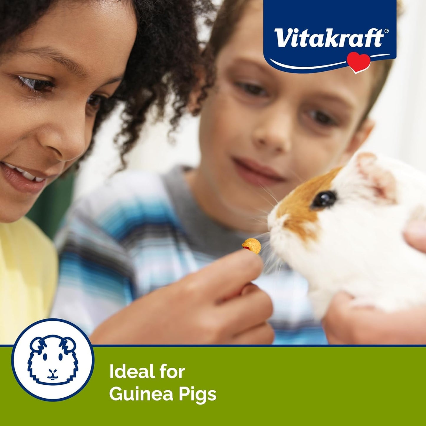 Vitakraft Drops Guinea Pig Treat - Orange - Yogurt Treats for Guinea Pigs Orange 5.3 Ounce (Pack of 1)