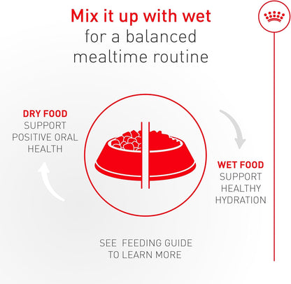 Royal Canin Fussy Dry Cat Food for Adult Cats, Protein-Rich Kibbles for Picky Eaters, Poultry-Based, Supports Healthy Weight and Urinary Health, 7 lb Bag