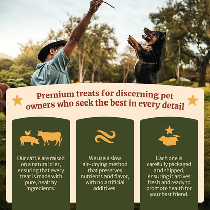 Nature's Ranch Odor-Free Thick Bully Sticks for Medium and Large Dogs 5-6 Inch, 10 Count – Natural, Rawhide-Free, Long Lasting Dog Chews, Single Ingredient, Fully Digestible Treats