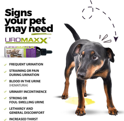 Cat & Dog Urinary Tract Treatment, Bladder & Kidney Support for Dogs and Cats, Powerful Yet Gentle Pet Care, with Liquid Cranberry & Glucosamine, Salmon Flavor, 6 oz Bottle, 2 Pack