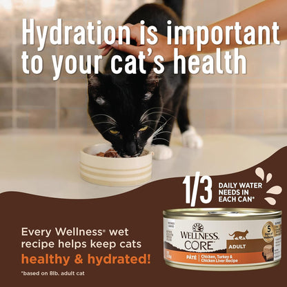 Wellness CORE+ Digestive Health Pate Adult Wet Cat Food, Natural, Protein-Rich, Grain Free, 3 Ounce, 12 Pack (Turkey)