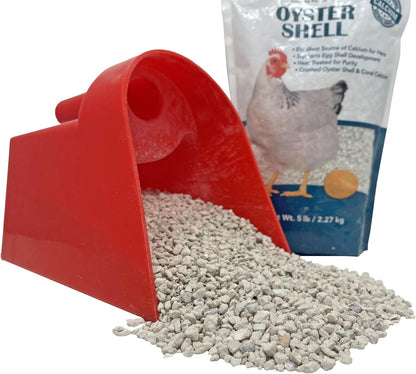 Pecking Order Oyster Shell - Calcium Supplement to Support Laying Hens and Strong Egg Shell Development (5 LB)