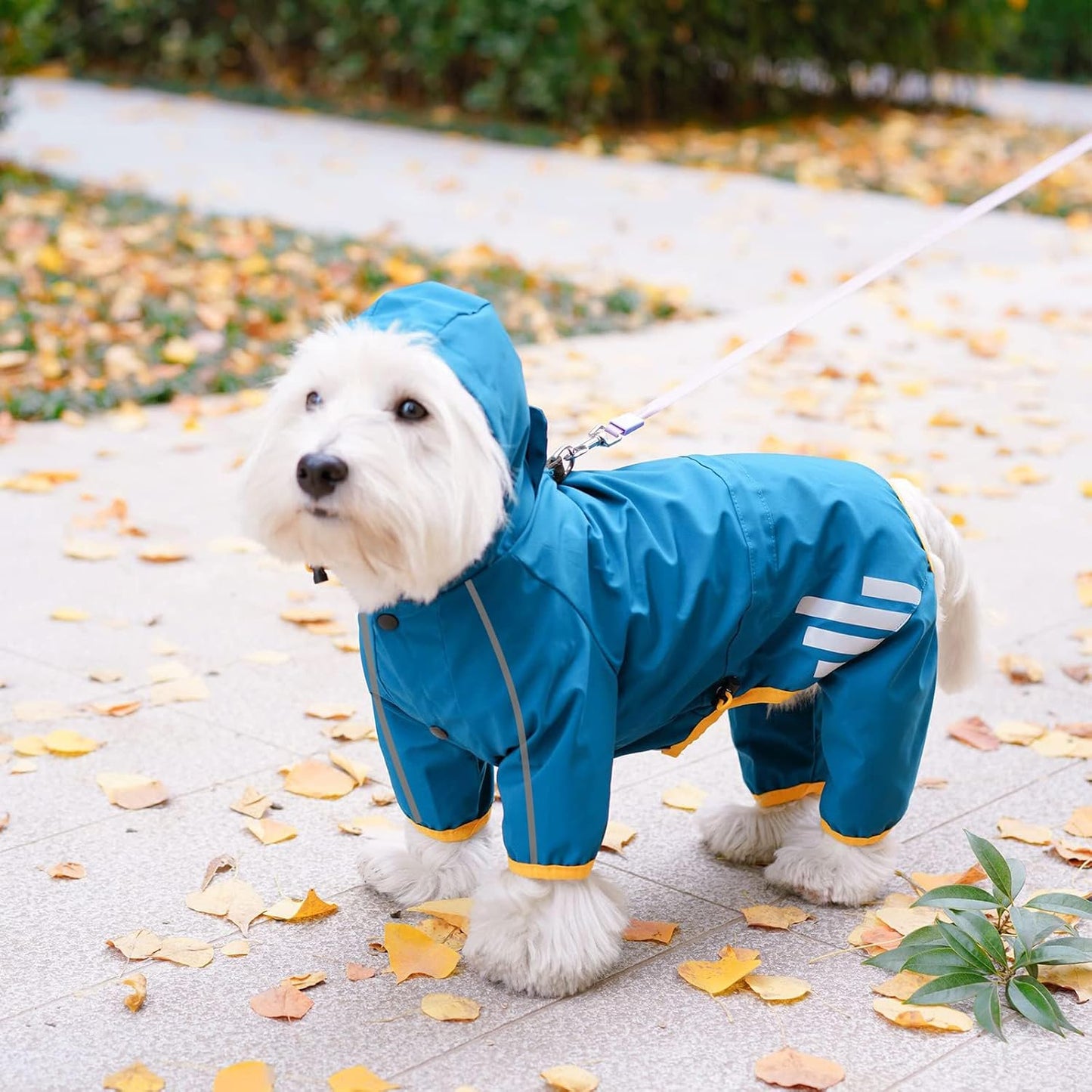 Dog Raincoat, Waterproof Dog Rain Jacket with Hood, Rain Coat with Leash Hole, Reflective Strap for Small Medium Dogs, Outdoor Adventures/Walking Lightweight Puppy (Blue,M)