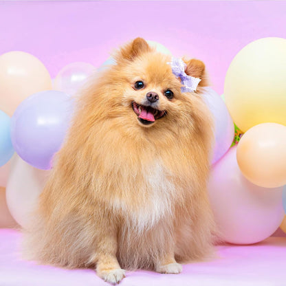 Mruq Purple Small Dog Hair Bows with Rubber Bands, Mix Handmade Cute Gooming Flower Ball Bows for Holiday Daily Accessories