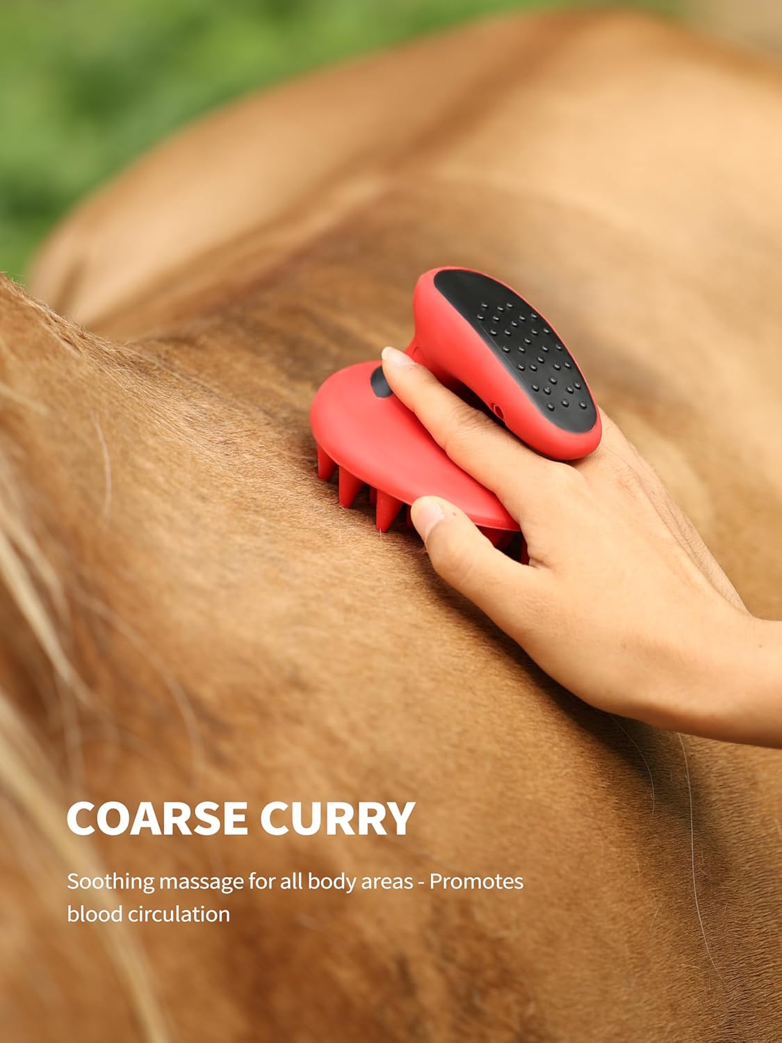 Harrison Howard Horse Grooming Kit 9-Piece Equine Care Series Horse Brush Sets with Organizer Tote Bag Tack Room Supplies Shedding Grooming Massaging Tools Red