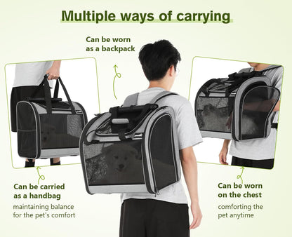 Pecute Cat Backpack Carrier + Cat Carrier for 2 Cats
