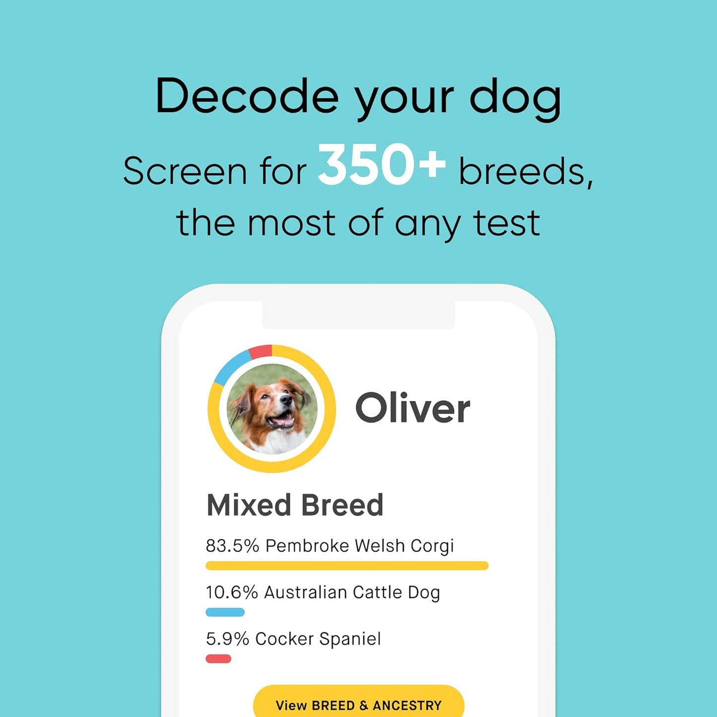 Embark Breed + Health Dog DNA Test & Dog Age Test Bundle - Discover Breed, Ancestry, Relatives, Genetic Health, Traits, and Birthday