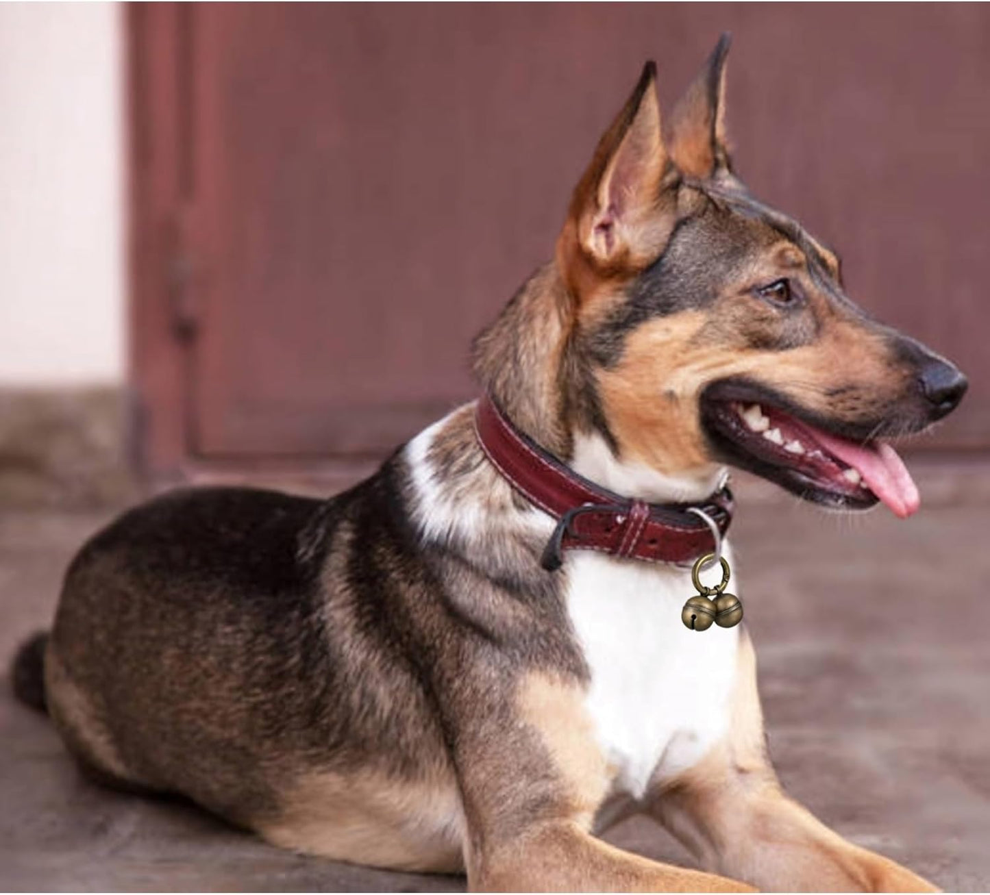 Dog Bells for Pet Tracking, 4 Extra Loud Dog and Cat Bells for Collar,Copper Bells with Quick Clips