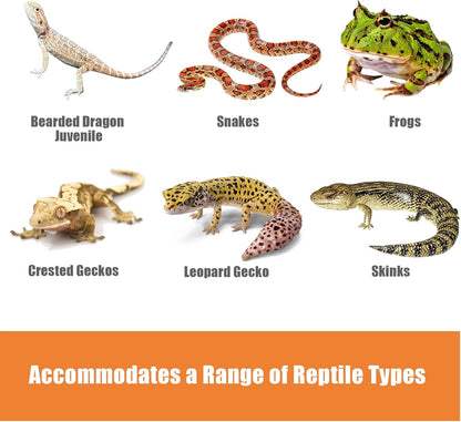 2Pcs 24"x18"Reptile Substrate Mesh, Terrarium Supplies for Reptile Tank, Bioactive Substrate Barrier for Leopard Geckos, Crested Geckos, Ball Pythons, Corn Snakes, Frogs, Skinks