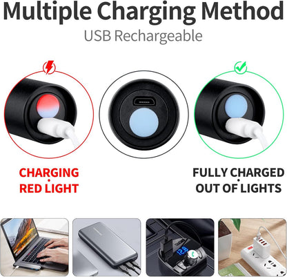 UV Flashlight USB Rechargeable, 365nm Black Light (2 PACK), Mini & Powerful Upgrade Ultraviolet Flashlight Portable Detector for Pet Urine, Cat Dog Stains, Scorpion, Bed Bug