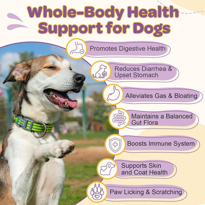 ZEBORA Probiotics for Dogs – 6 Billion CFUs & 10 Strains with Prebiotics, Omega 3 Fish Oil for Dogs Skin and Coat