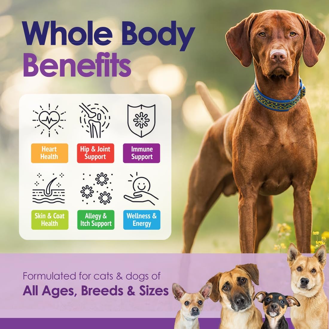 Dog Multivitamins Chewable Supplement - 22 in 1 Dog Vitamins for Itchy Skin & Coat, Immune System, Joints & Overall Health - Vitamins A, B, C, D, E, K & Antioxidants - 60 Chews - Beef Flavor